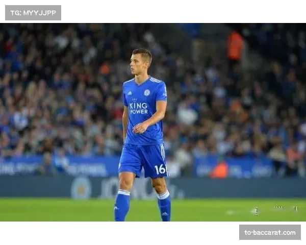 新鹏城本科维奇压哨加盟 防线默契度不足成赛季隐患